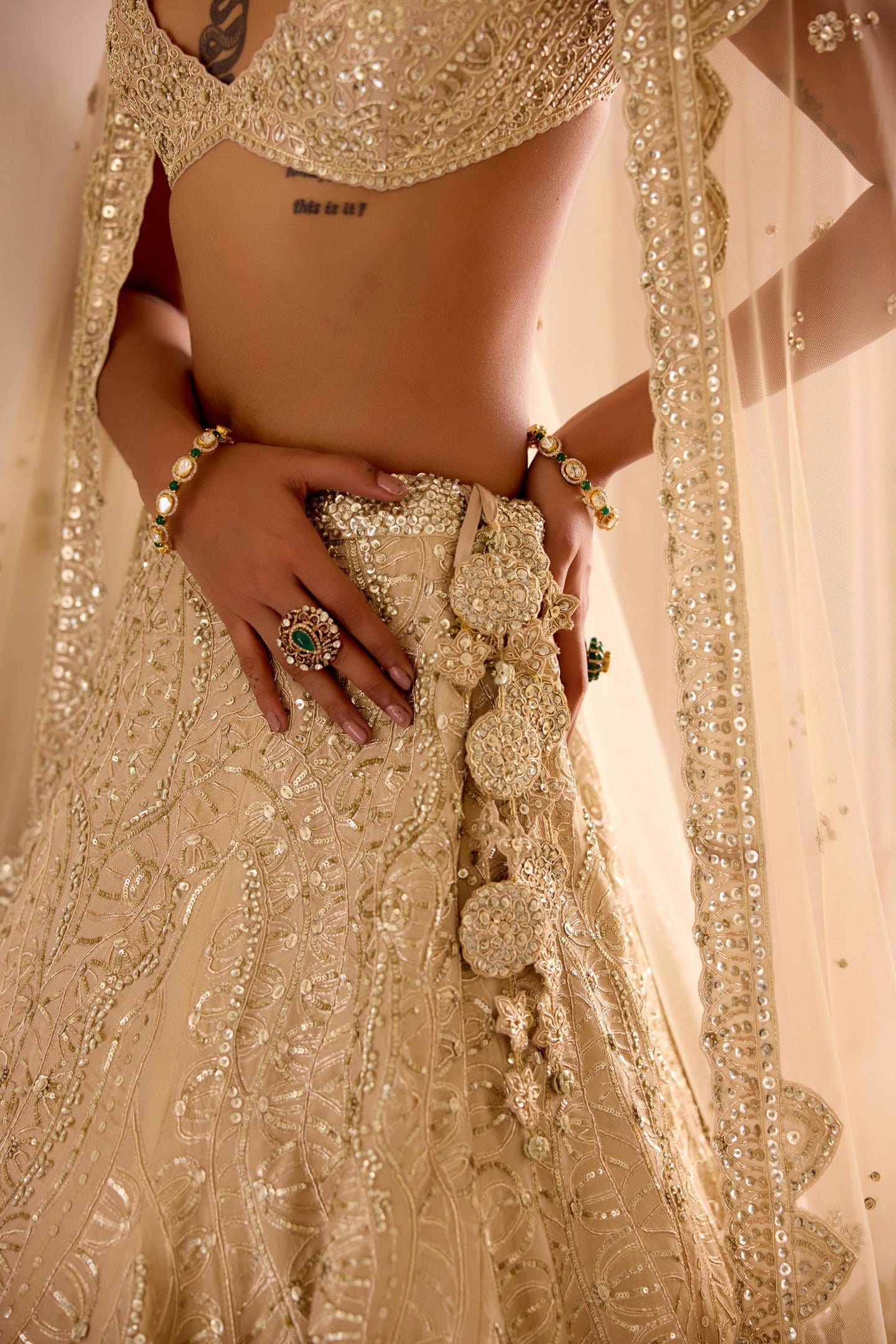 Frost Champagne Jaal Embroidered Lehenga Set