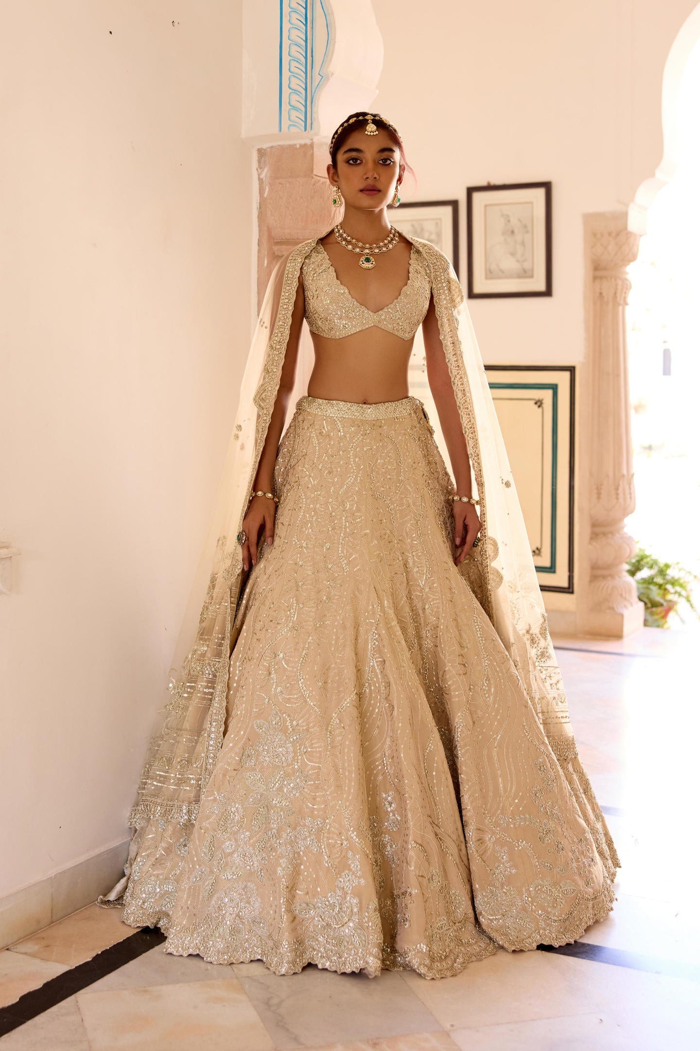 Frost Champagne Jaal Embroidered Lehenga Set