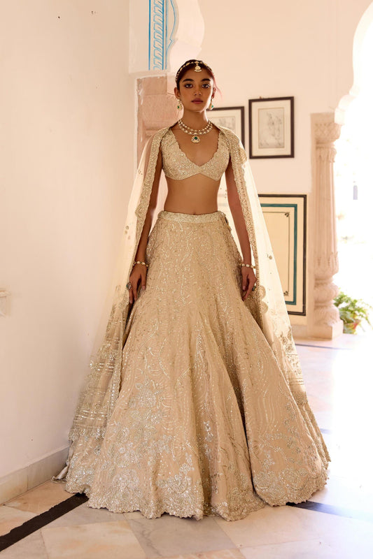 Frost Champagne Jaal Embroidered Lehenga Set