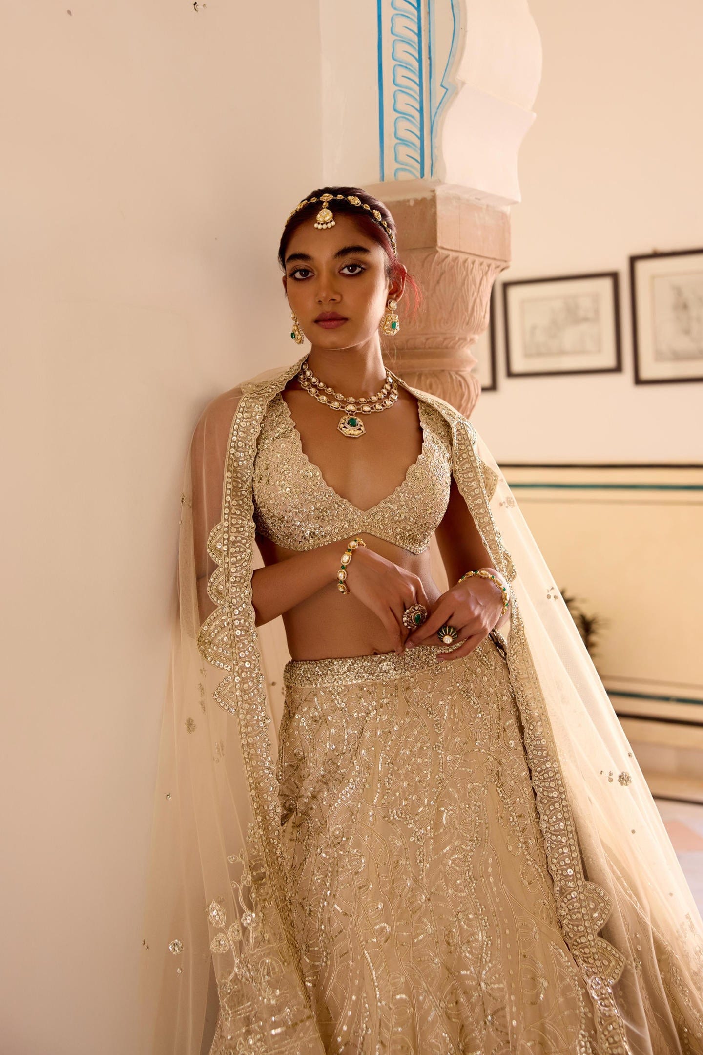 Frost Champagne Jaal Embroidered Lehenga Set