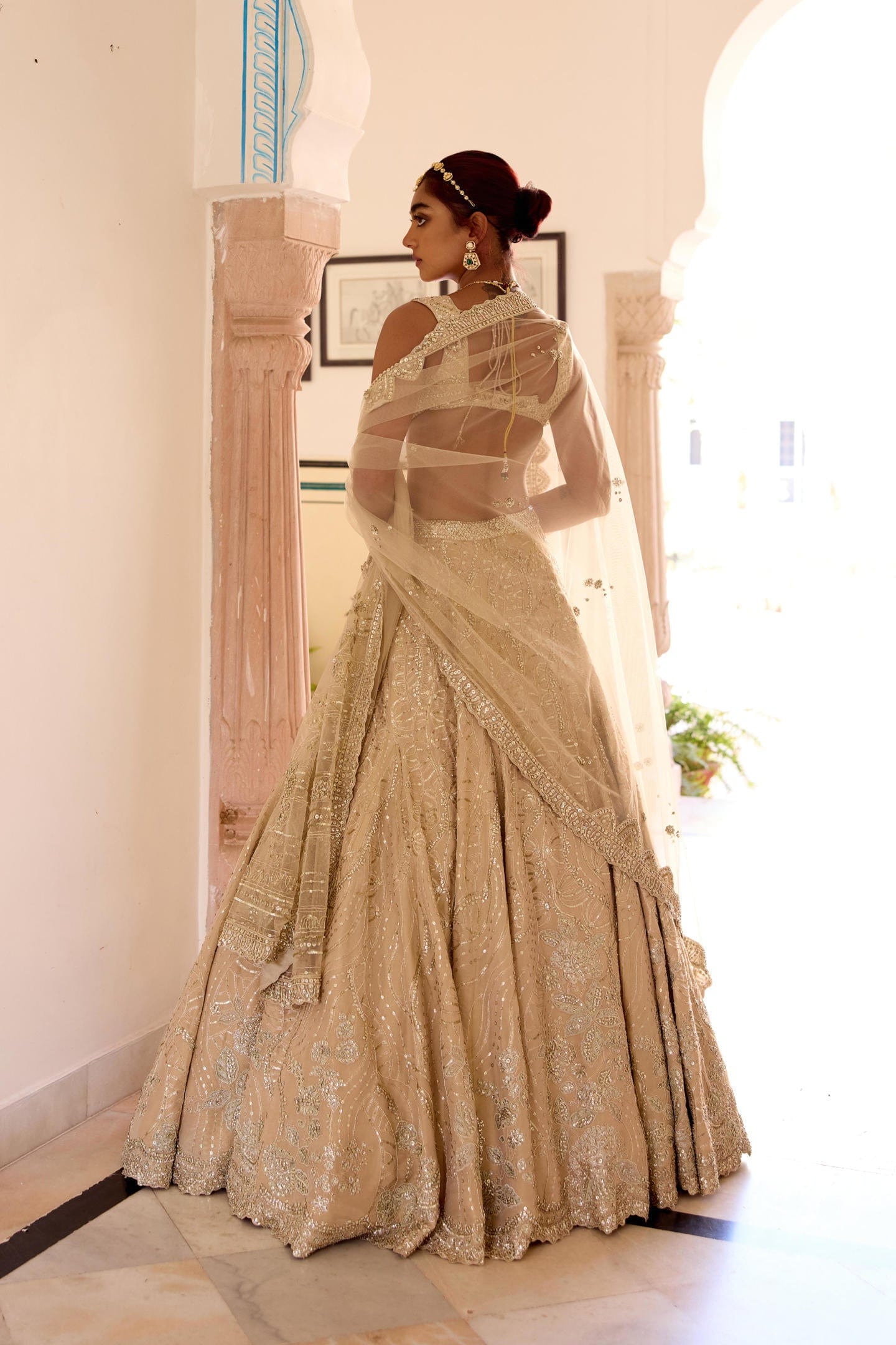Frost Champagne Jaal Embroidered Lehenga Set