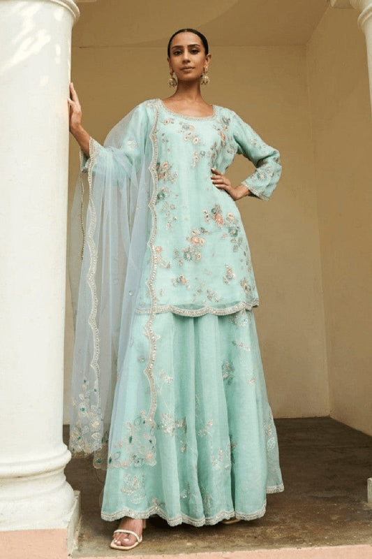 Powder Blue Embroidered Sharara Set